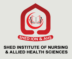 Shed Institute of Nursing & Allied Health Sciences, Karachi