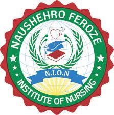 NAUSHERO FEROZ INSTITUTE OF NURSING